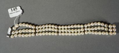 null 145- Bracelet 3 rows of cultured pearls 18K white gold clasp decorated with...