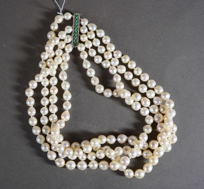 179- Collier de chien 4 rangs de perles de...