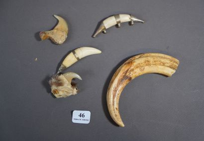 null 46- Set of teeth and tusks