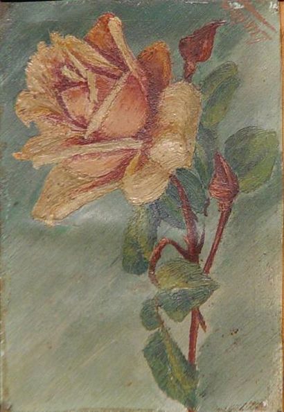 ECOLE FRANCAISE "Rose" Huile sur toile Dim: 14 x 10 cm