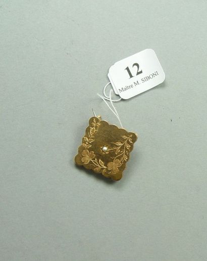 null Broche en or jaune, épingle en métal
Pds brut: 2 g