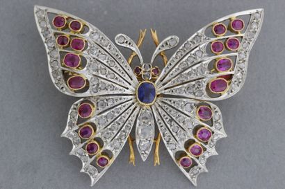 Broche « Papillon» en or sertie d'un saphir,...
