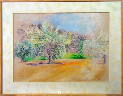 Brigitte SAINT PIERRE (?) "Les oliviers"
Pastel, signé en bas à droite
Dim: 46 x...