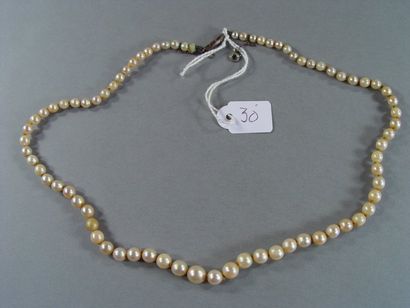 null 30- Collier de perles de culture
