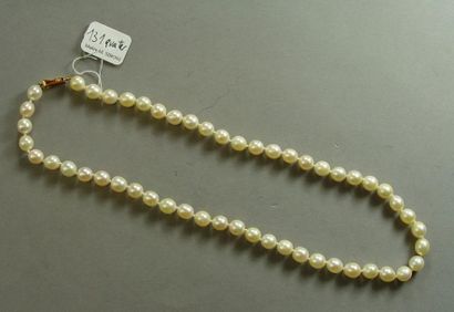 null Collier chocker de perles de culture blanches
Fermoir en or jaune