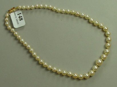 null Collier de perles de cuture japonaises en chute
Fermoir en or
Pds: 19,1 g