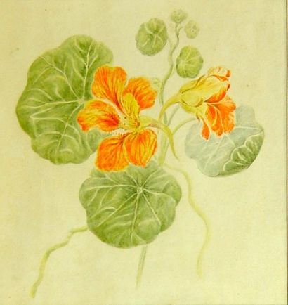 Van EYS (attribué à) "Fleurs" Aquarelle 21 x 20 cm