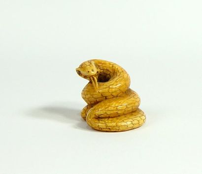 null "Serpent"
Netzuke en ivoire