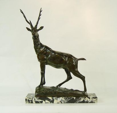 Maurice FABRE 
''Cerf''

Bronse sur terrasse en marbre

Signé
63 x 47 cm