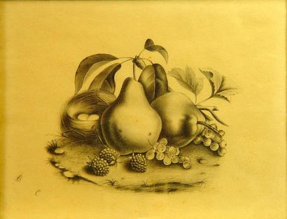 ECOLE FRANCAISE "Fruits"
Deux dessins formant pendant 25 x 32 cm