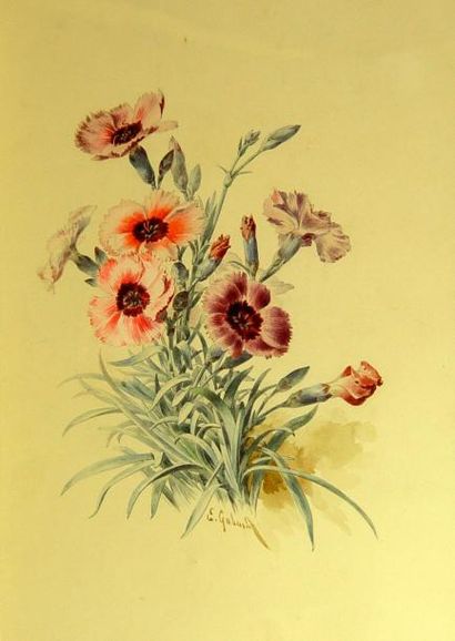 E.GODARD "Fleurs"
Trois aquarelles formant pendant 34 x 23 cm