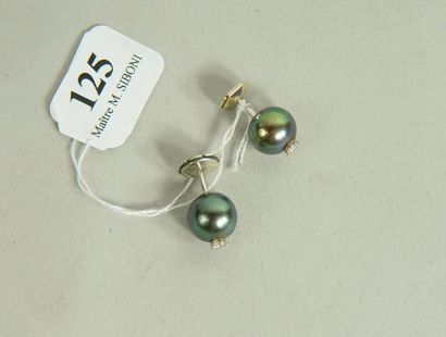 null 125- Paire de boutons d'oreilles en or gris ornés chacun d'une perle grise de...