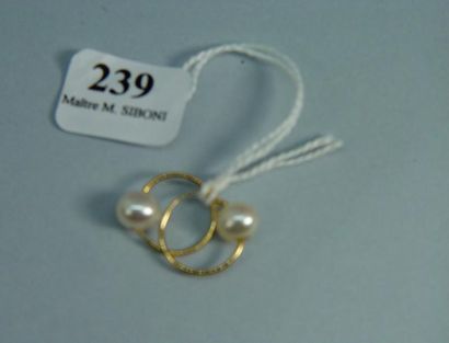 null 239- Anneaux d'oreille en or jaune sertis de perles

Pds : 1,20 g