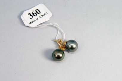 null 360- Clous d'oreilles en or jaune et perles grises de Tahiti

Pds : 3,4 g