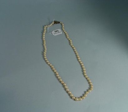 null 391- Collier de perles de culture japonaises en chute

Pds brut : 19,8 g