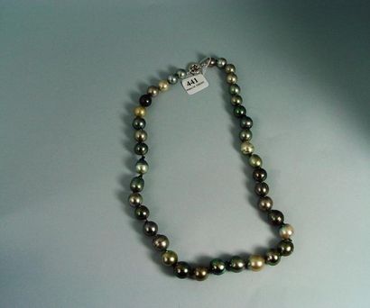 null 441- Collier de perles de Tahiti baroques

Diamètre des perles grises : de 10...