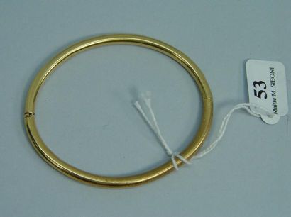 null 53- Bracelet articulé en or jaune

Pds : 9,20 g