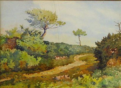 null 45- MIOT LAMBERT

''Chemin de campagne''

Aquarelle signée en bas à droite

24...