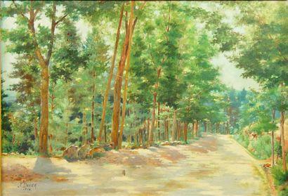 null J. DAVIER

''Le chemin''

Huile sur toile signée en bas à gauche et datée 1904

(accidents)

37...