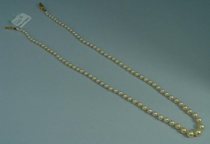 null 120-6- Collier de perles de culture

Fermoir en or