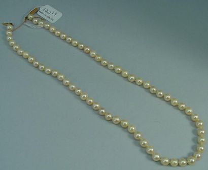 null 120-9- Collier de perles de culture

Fermoir en or jaune
