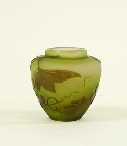 null 125- Emile GALLE

Vase en verre multicouches

Hauteur : 7 cm