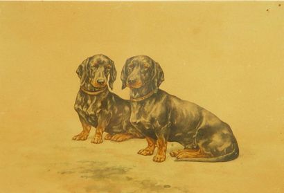 null 39- Ecole Française

''Les deux bassets''

Aquarelle

17 x 26 cm