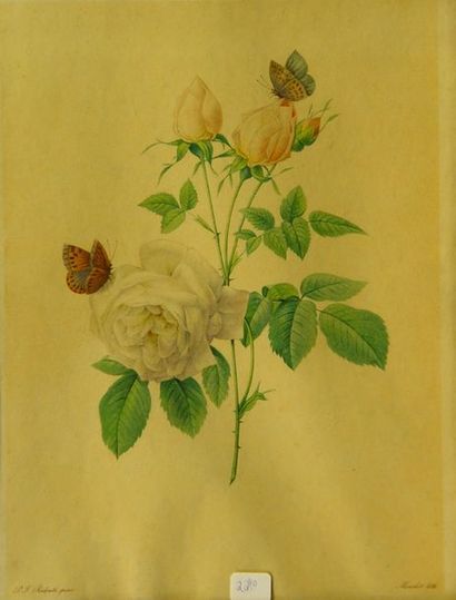 null 22- Pierre-Joseph REDOUTE
Dix gravures "Fleurs"