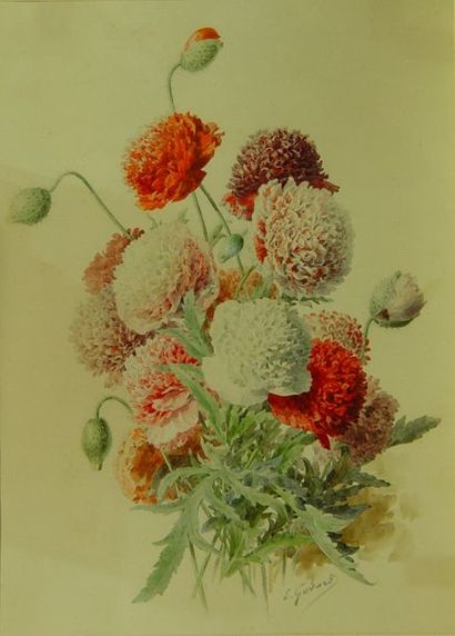 null 71- E. GODARD

''Fleurs''

Deux aquarelles