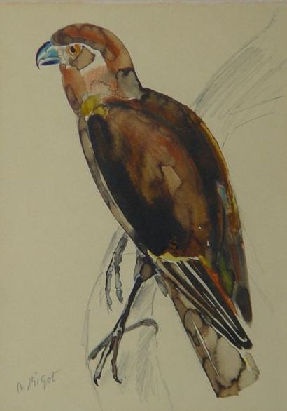 BIGOT "Oiseau" Aquarelle signée en bas à gauche Dim : 27 x 20 cm