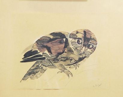 BIGOT "La chouette" Aquarelle signée en bas à droite Dim : 20 x 27 cm