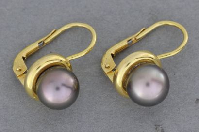 null 42- Paire de boucles d'oreilles en or ornées de perles grises

Pds : 4,3 g