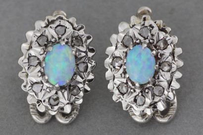 null 66- Paire de clips d'oreilles en or gris centrés d'une opale entourée de di...