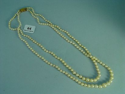 null 64- Collier deux rangs de perles de culture en chute, fermoir en or jaune

Pds...