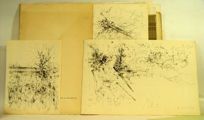 null 116- Ensemble de lithographies (spécimen BRAYER), pièces encadrées et diver...