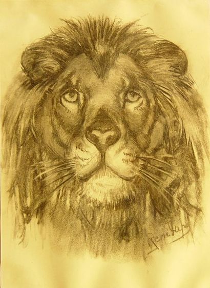 null 116- René PAPA

''Lion''

Fusain signé en bas à droite

44 x 32 cm