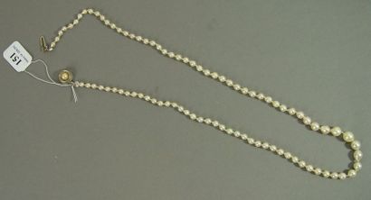 null 151- Collier de perles de culture en chute

Fermoir en argent 830 millièmes...