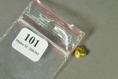 null 101- Débris d'or

Pds : 1,50 g