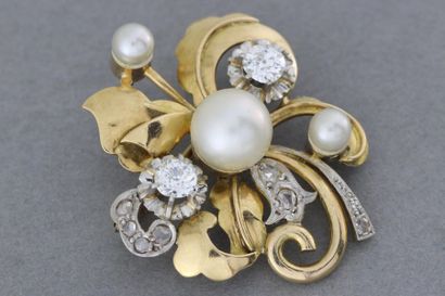 null 177- Broche "feuille" en or ornée de perles et de diamants

Pds : 7,8 g