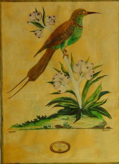null 66- MALCOLM

''Oiseau''

Huile sur papier

40 x 29 cm