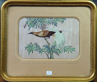 null 3- ''Oiseaux''

Deux soies peintes formant pendant

17 x 25 cm