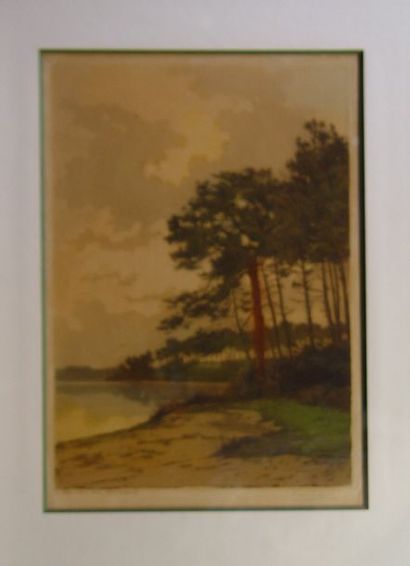 null 105- Fred LEVE

''Landes de Gascogne''

Estampe 

44 x 31 cm