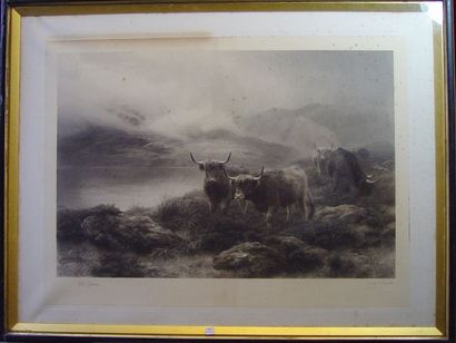 null 7- Peter GRAHAM

''Troupeau dans un paysage de montagne''

Lithographie

75...