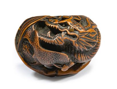 JAPON - Epoque EDO (1603 - 1868), XIXe siècle 
Netsuke en bois, dragon enroulé sur...
