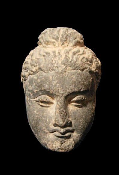 null ART GRECO-BOUDDHIQUE DU GANDHARA (Ier - Vème siècle) Visage de Bouddha. En schiste....