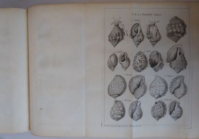 ADANSON Histoire naturelle du Sénégal. Coquillages. Paris, Bauche, 1757. In-4, veau...