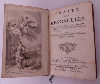 [ARDENE] Treatise on Ranunculus. Paris, Lottin, 1746. In-8, contemporary spotted...