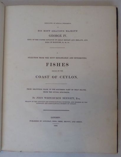 BENNETT Fishes found of the cost of Ceylon. London, Longman, 1830. In-4, brown half-maroquin,...