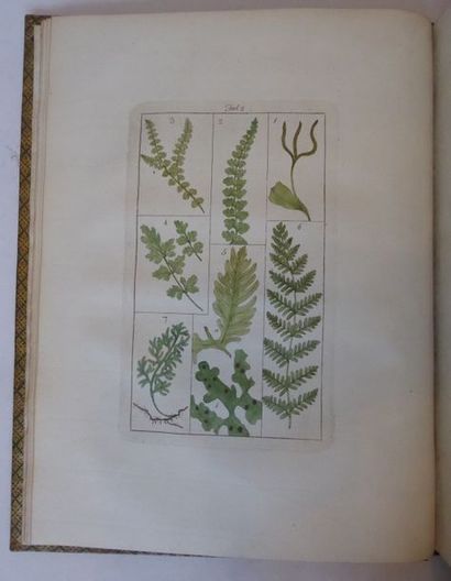 BOLTON Filices Britannicae; an history of the british proper Ferns. Leeds, John Binns,...