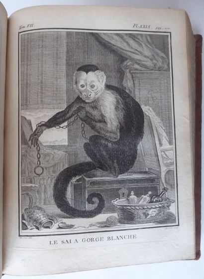 BUFFON Histoire naturelle générale et particulière. Paris, Imprimerie royale, 1774-1804....